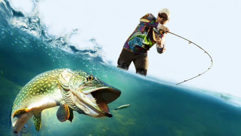 fishing-1