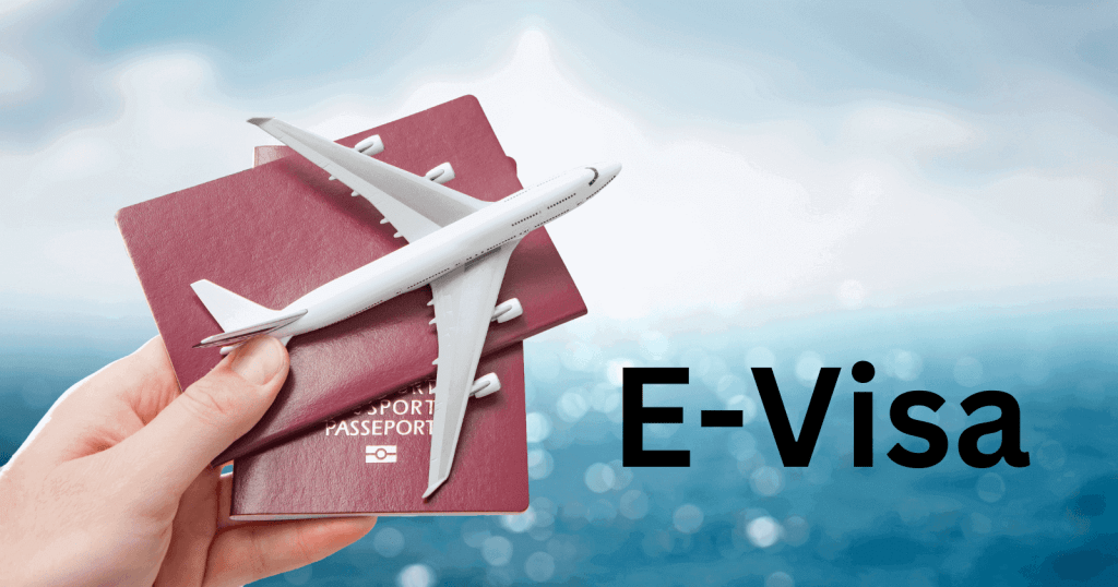 which-countries-offer-e-visa